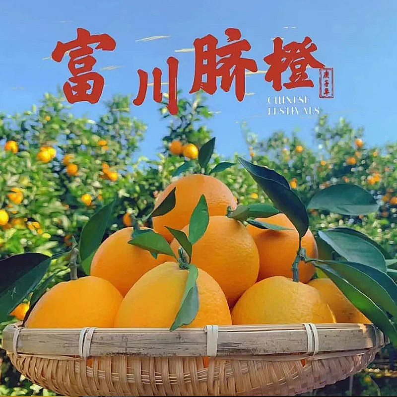 广西富川脐橙当季现货橙子新鲜大果包邮天然皮薄脆嫩鲜甜酸甜阳光
