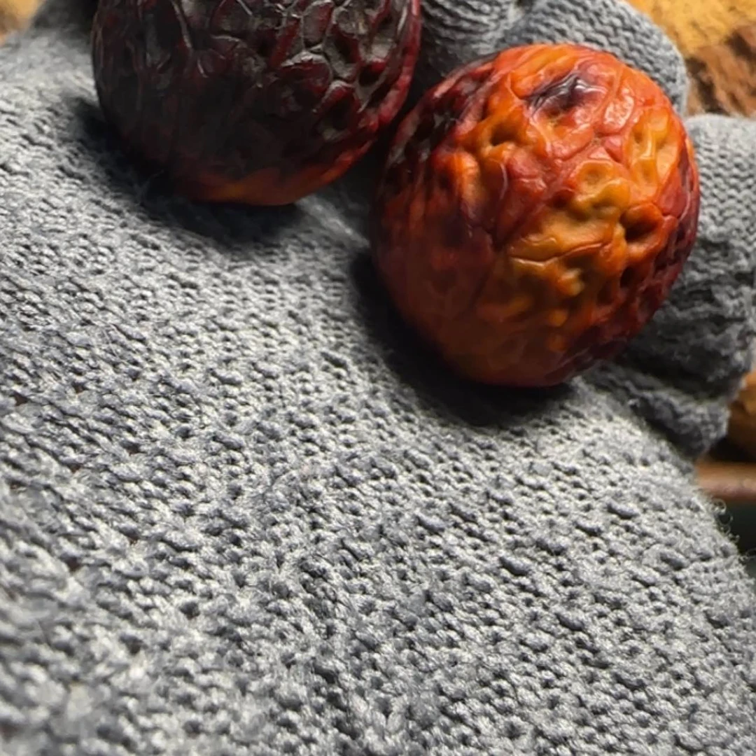 【闪购商品】文玩核桃把件32尺七彩元宝