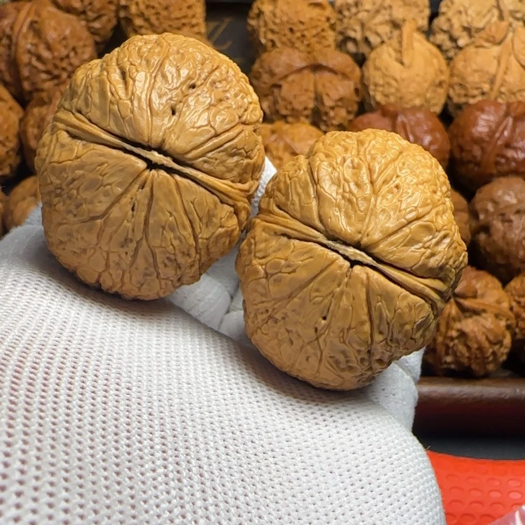 文玩核桃把件45尺 聚宝蟾王