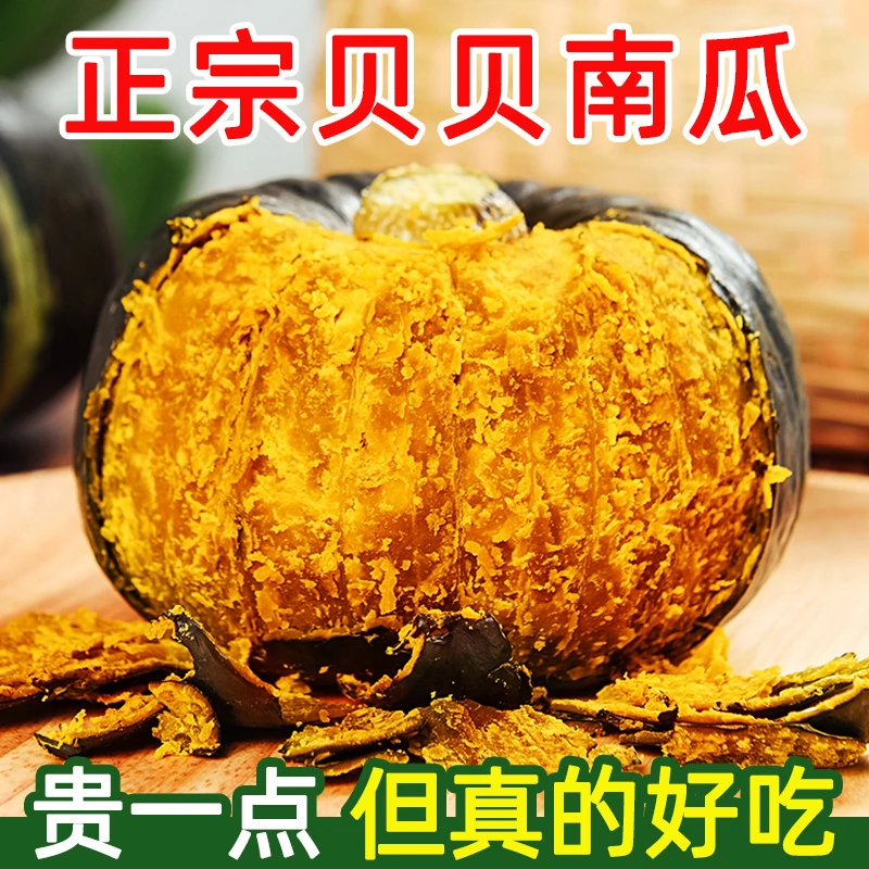 【小扬甄选】贝贝南瓜正宗板栗味惠和一号粉糯香甜新鲜正品迷你贝
