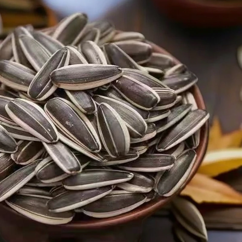 【到手一斤半】头茬新瓜子原味中等颗粒香脆美味优质休闲小零食现货