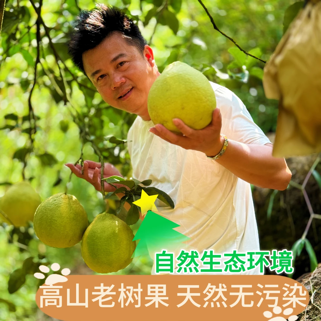 18斤50斤（袋装）广西容县沙田柚花皮果高山老树果产地直销