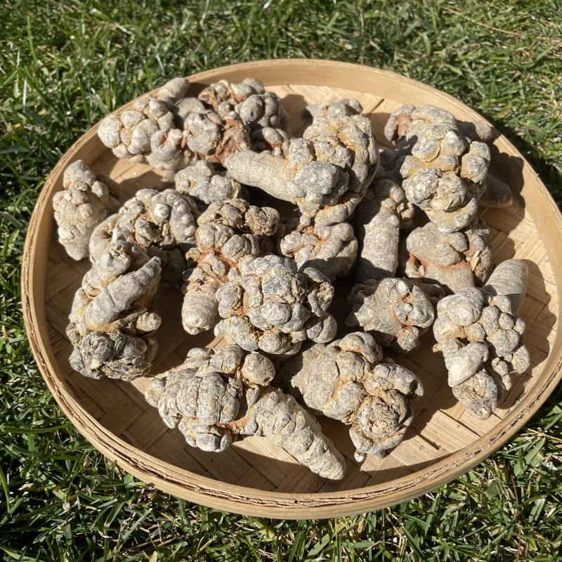 现收山货  滑头水洗三七60头