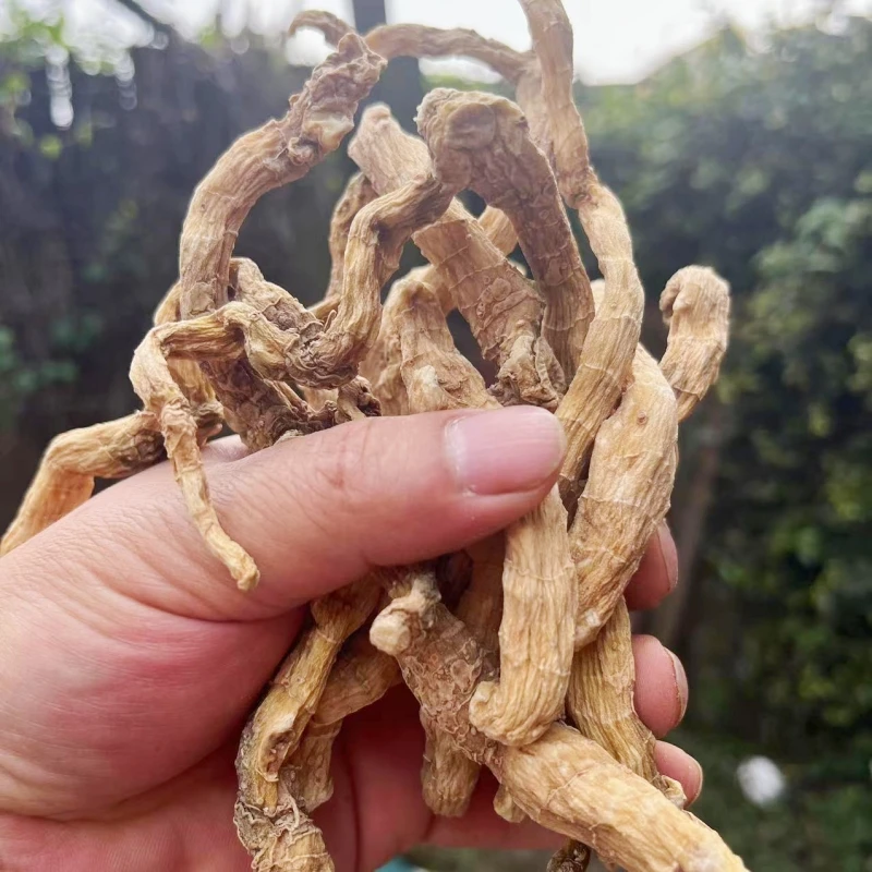 现收山货  玉竹条 煲汤泡酒