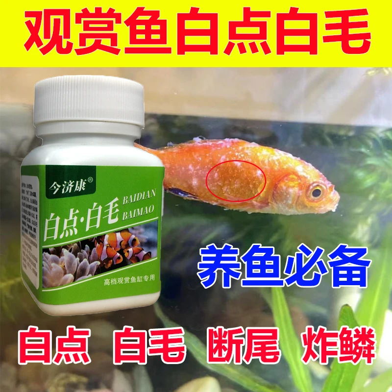 白毛白点净观赏鱼水族必备速溶鱼粉锦鲤白点小瓜虫烂尾烂鳍专用