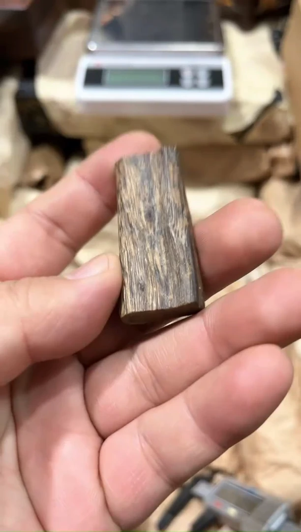 【闪购商品】香木海南莺歌绿
