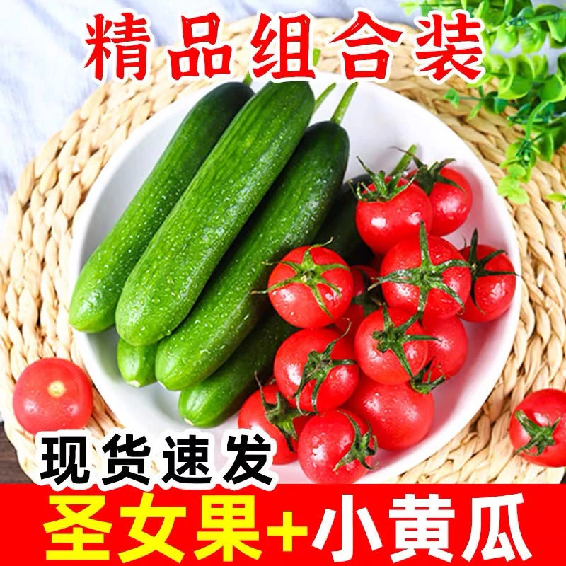 【顺丰】水果黄瓜圣女果组合营养均衡酸甜可口寿光直发
