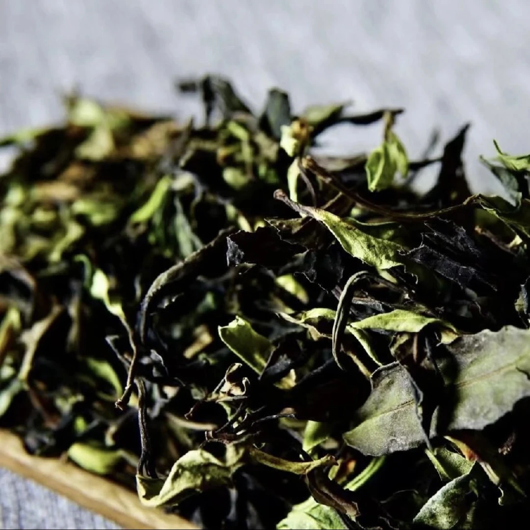 小搞搞茶叶老白茶