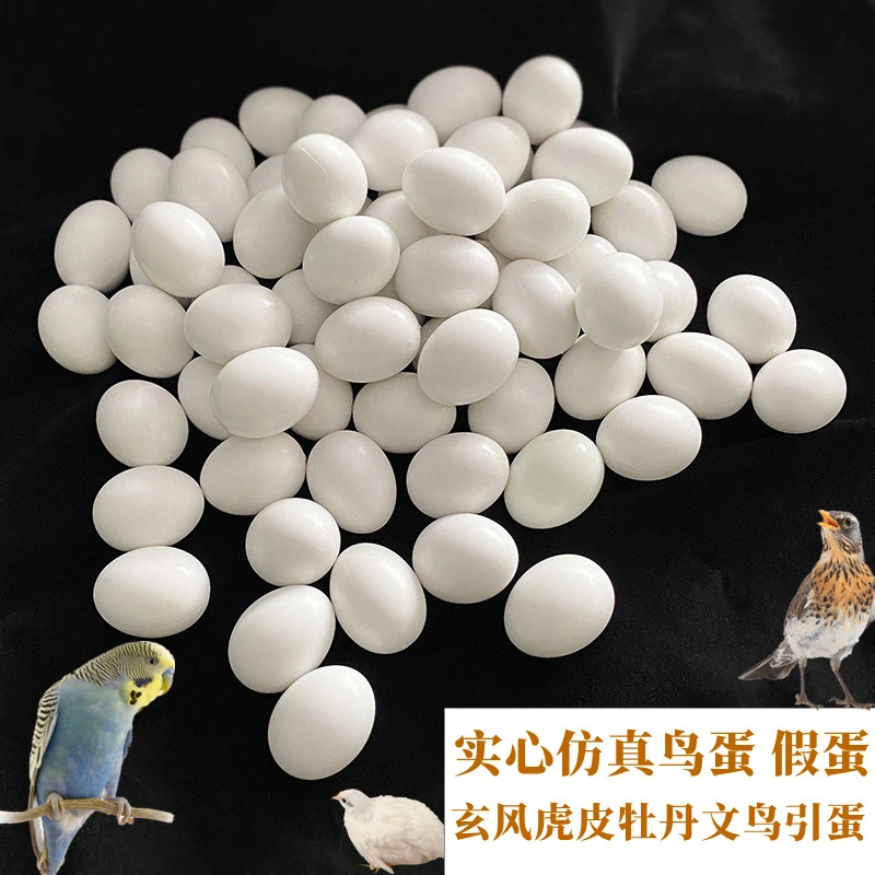 鹦鹉假蛋鸟类仿真实心蛋文鸟虎皮牡丹玄凤鸟蛋引蛋10个塑料材质