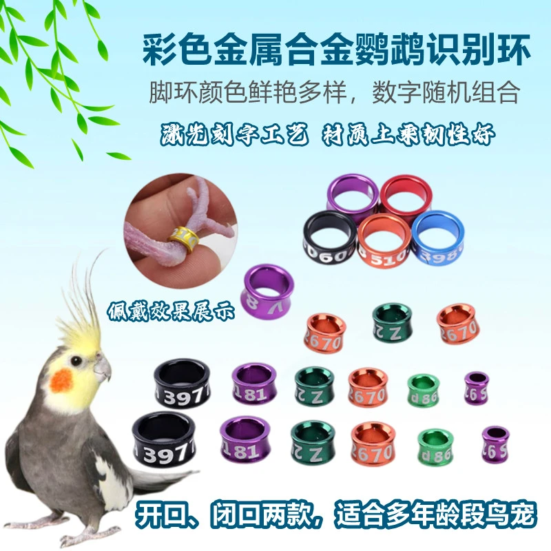 鸟鹦鹉脚环雏鸟幼鸟带闭口环识别环电镀合金开口鸟环八哥虎皮玄凤
