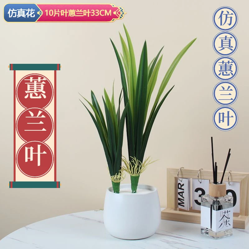 新单支蕙兰叶子仿真叶蝴蝶兰假叶长绿叶插花配叶兰花叶草长枝剑叶