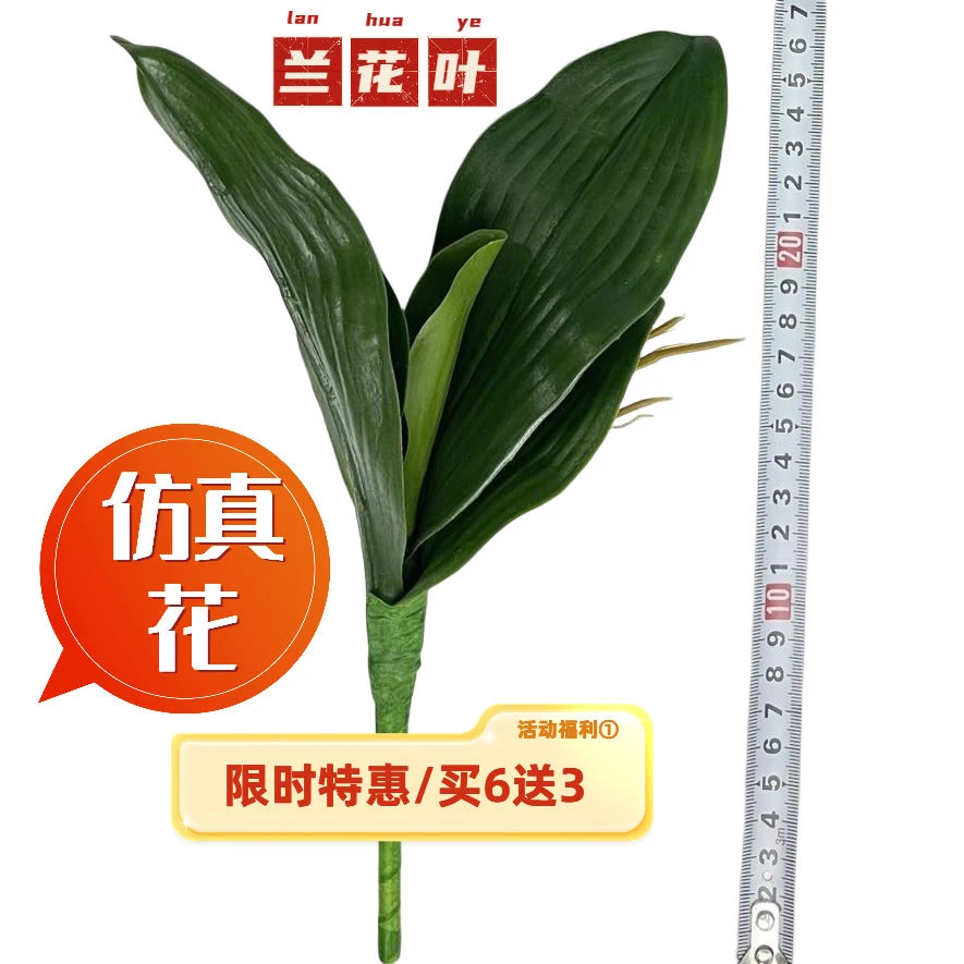 PU材质仿真蝴蝶兰叶子大支兰花叶插花配草绿植盆栽假叶装饰花卉