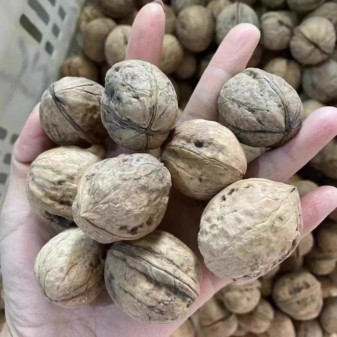 2025年新货新疆阿克苏185纸皮核桃 原色不清洗 阿克苏直发包邮