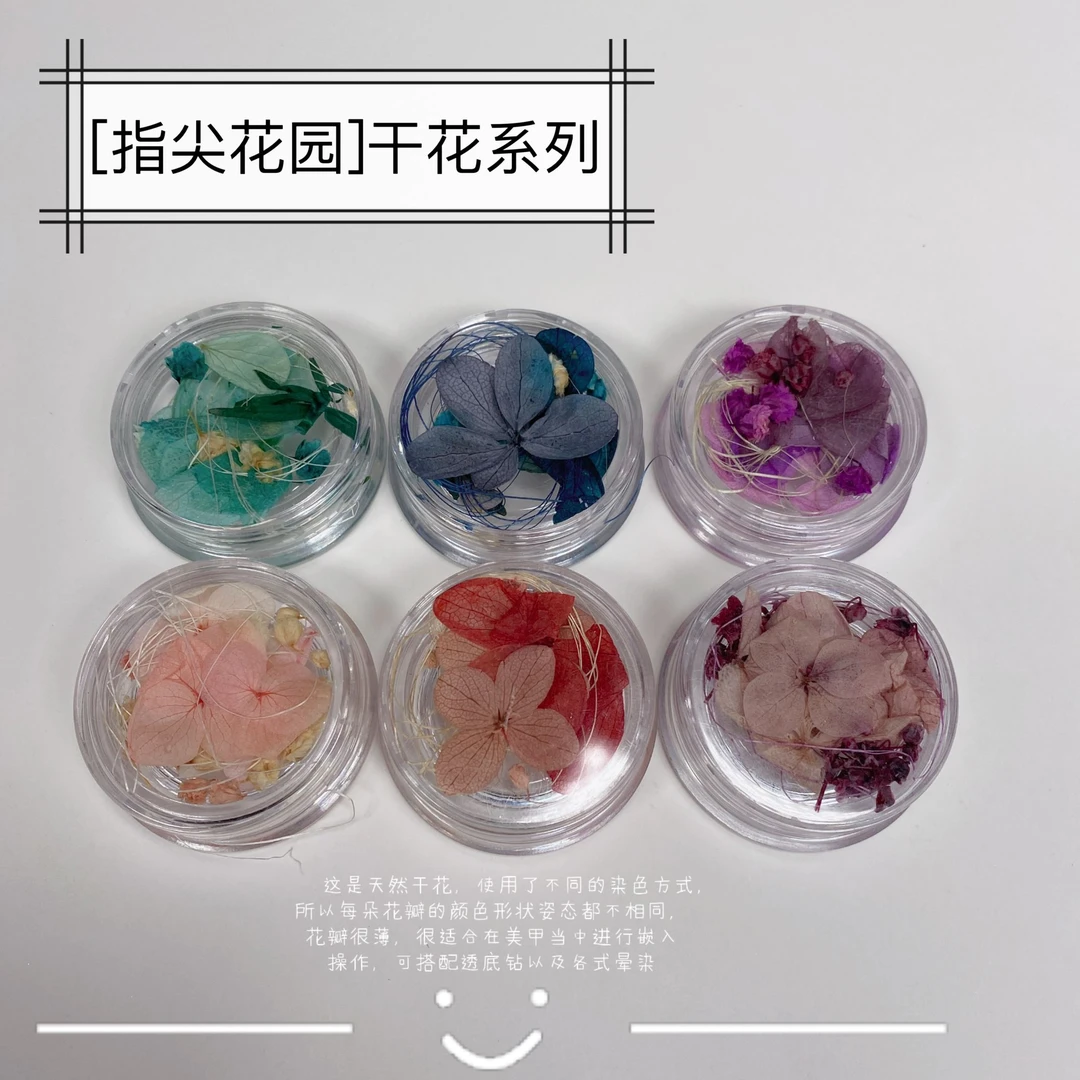维爱干花饰品贴花花朵装饰指甲彩色晕染真花朵彩色美甲碎花叶子小
