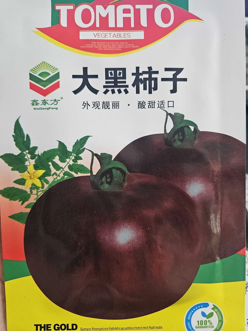 沙瓤多汁大黑番茄种子