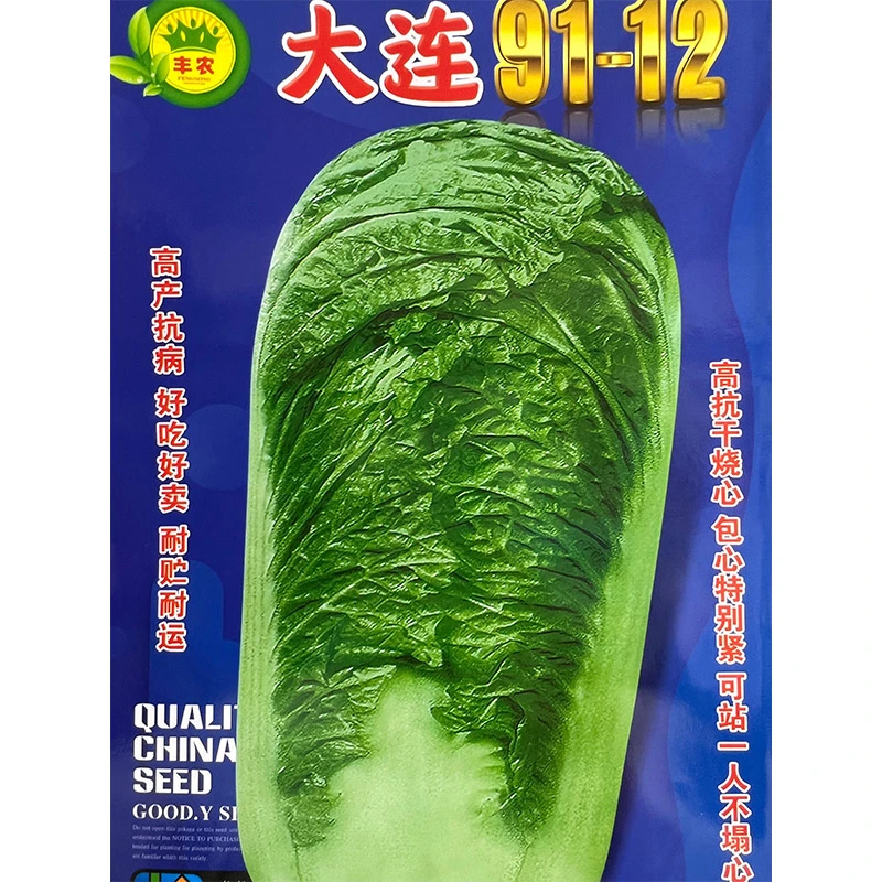 鑫东方大连91-12大白菜种子