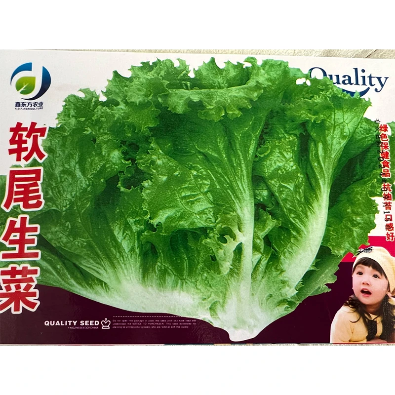 鑫东方种业软尾生菜种子（拍一发二）