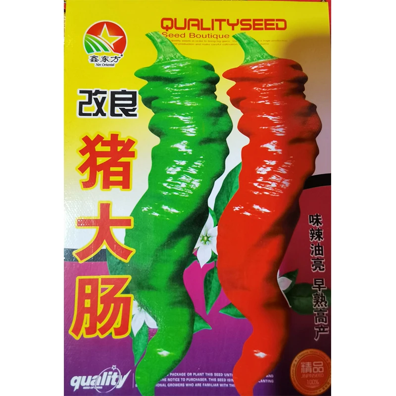 鑫东方种业猪大肠辣椒种子