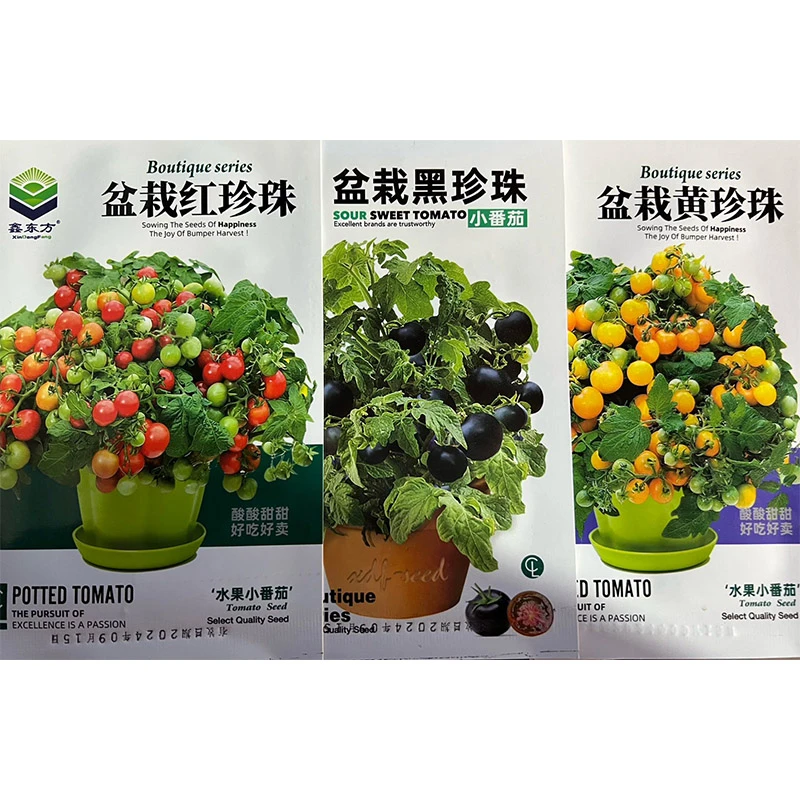 鑫东方种业盆栽珍珠番茄种子
