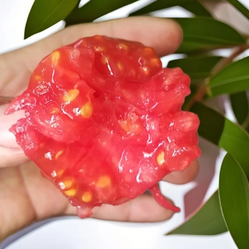 小农人哈维斯特兰州经典番茄，草莓番茄，水果番茄1.5kg