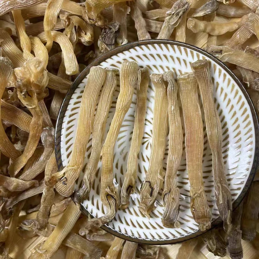 湛江市东海岛营养大沙虫干煮汤美味鲜美品质小孩老人煲汤煲粥料