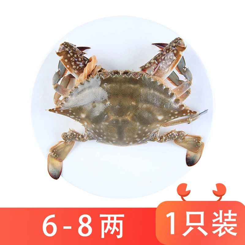 鲜活梭子蟹约300-400g/只