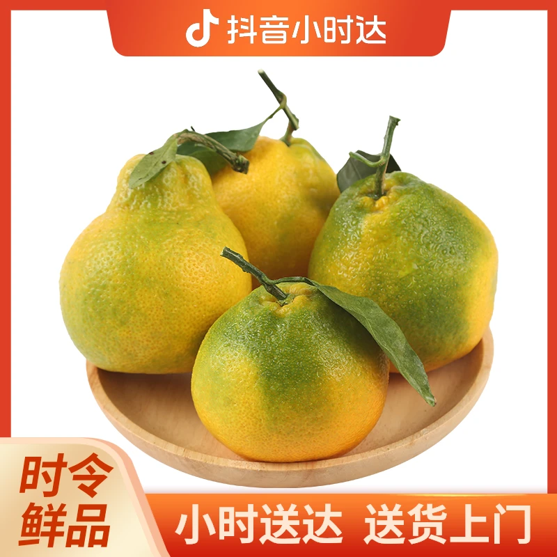 云南丑桔4粒装 800-880g
