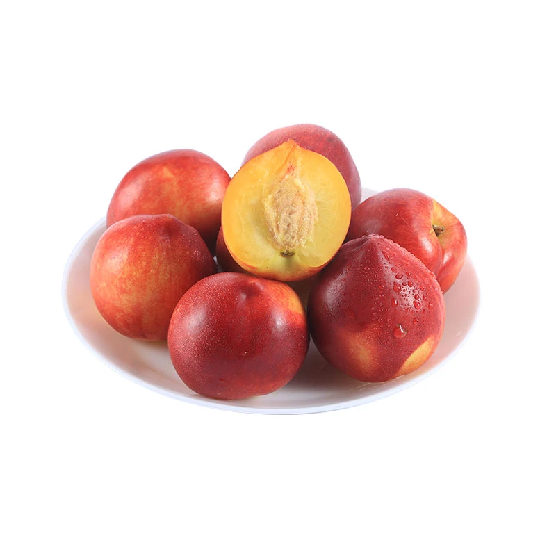 山东红油桃500g(单果70g+)