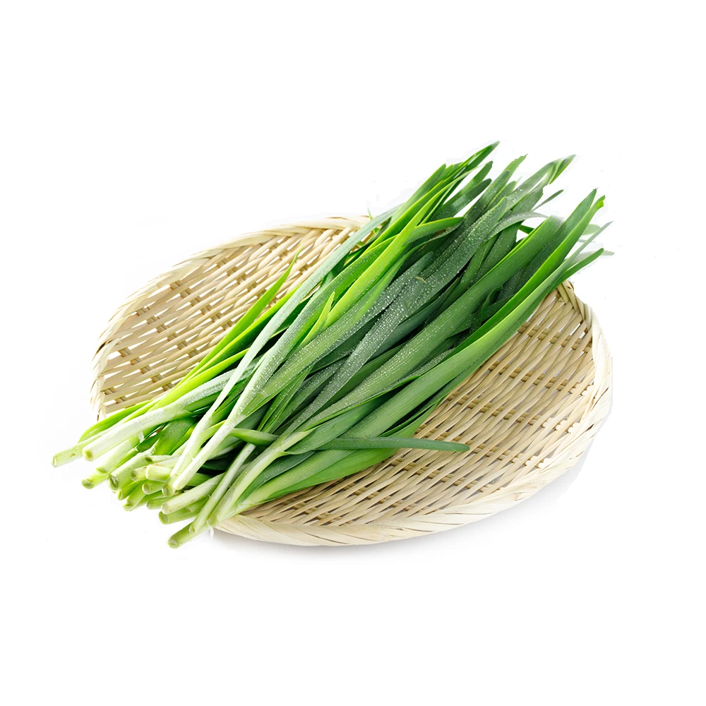 【高原有机】芸岭鲜生 韭菜250g