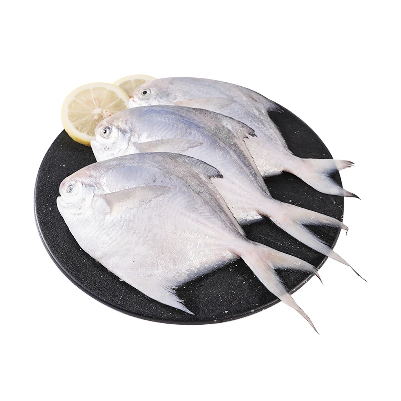 冰鲜鲳鱼3条装(75-100g/条)