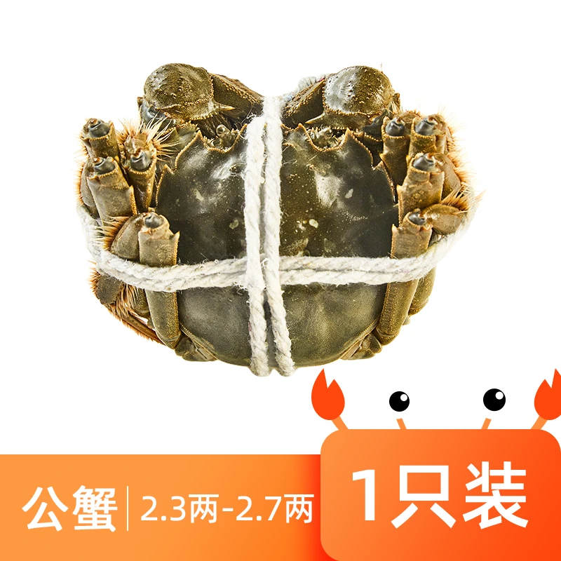 鲜活大闸蟹（公115-135g/只）