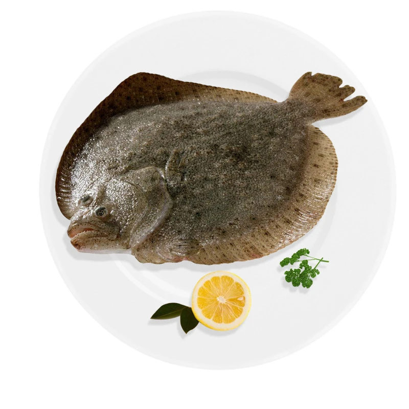 【鲜活】活多宝鱼 450g以上/条