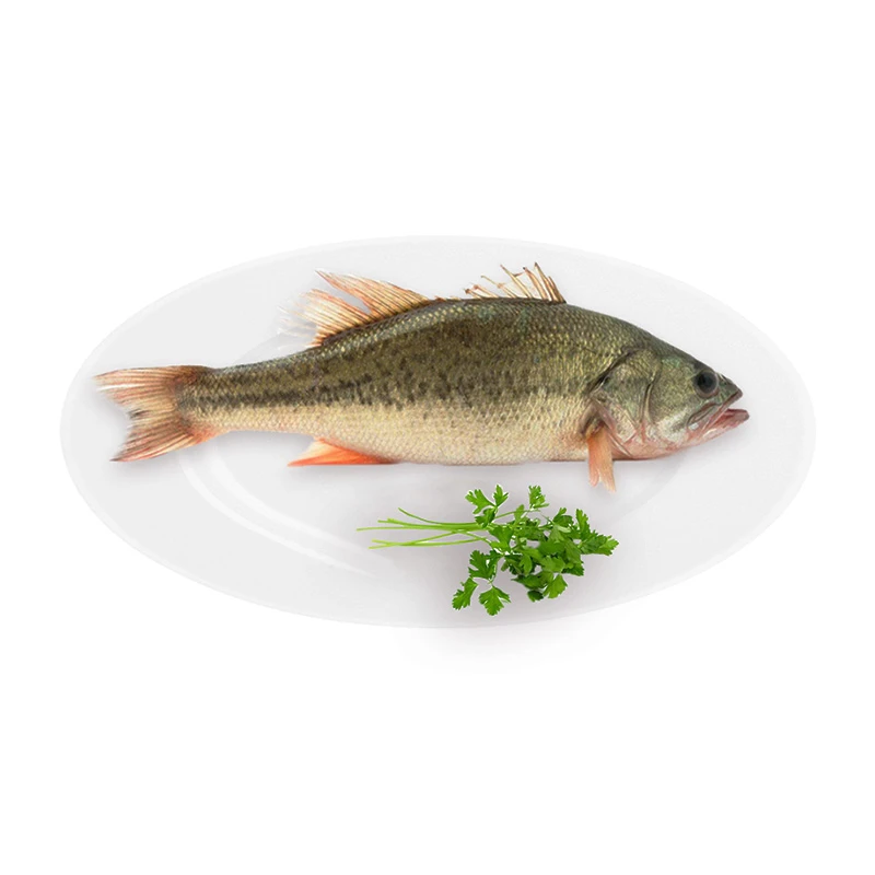 鲜活鲈鱼600-700g/条