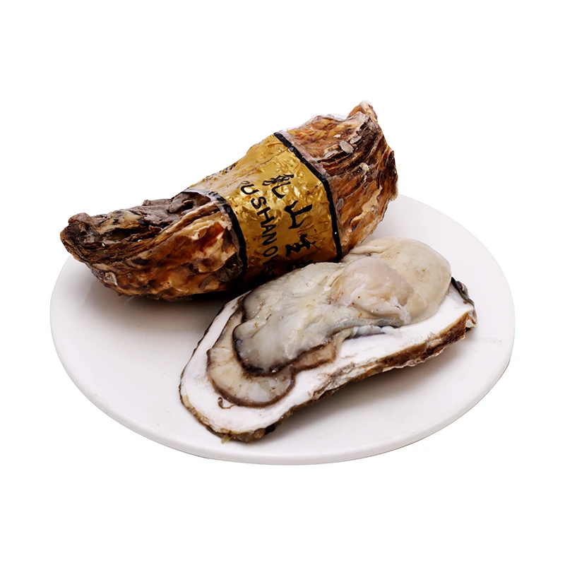 8+特大生蚝 400g/只