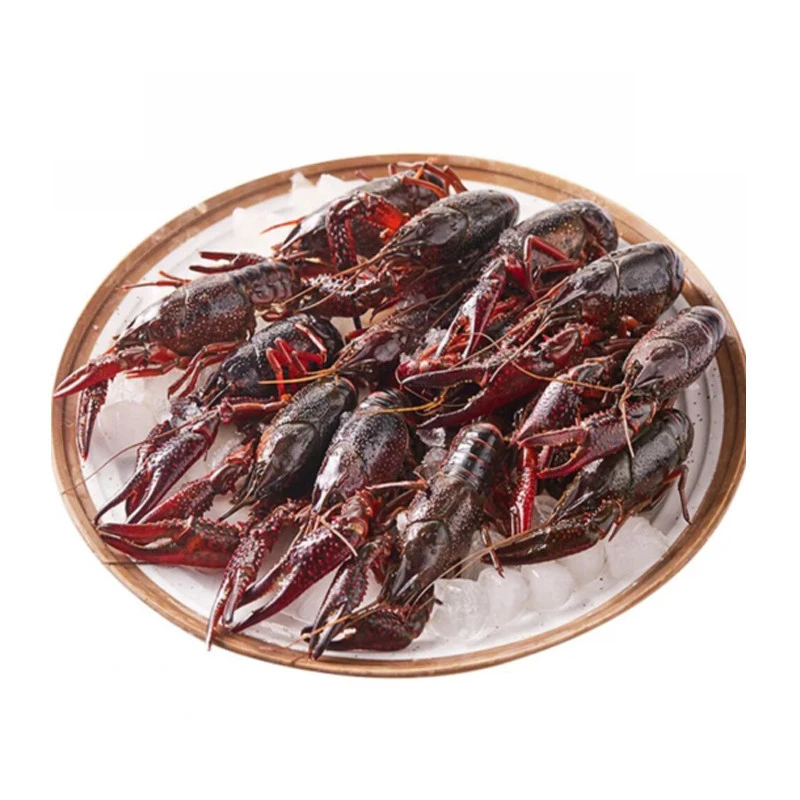 【鲜活】小龙虾(20-30g/只)1500g/份
