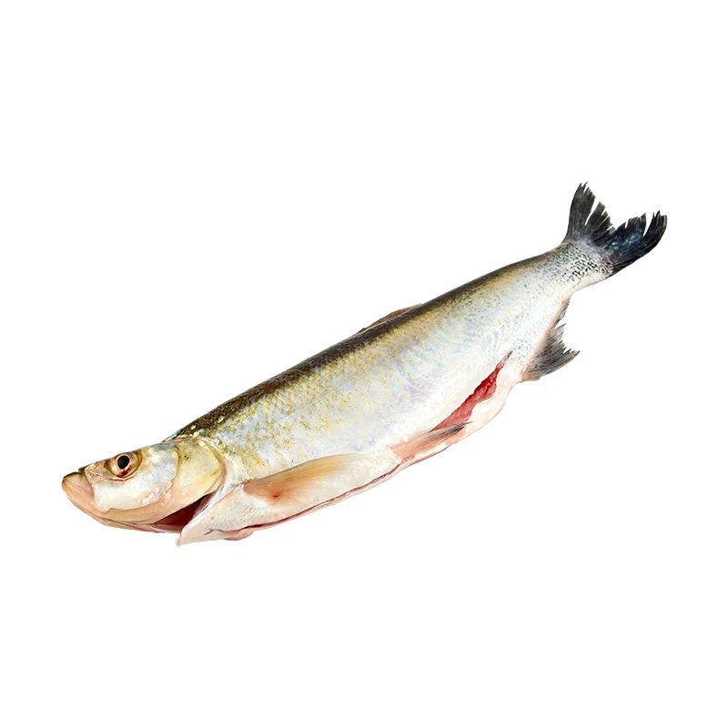 三去白水鱼400g/盒