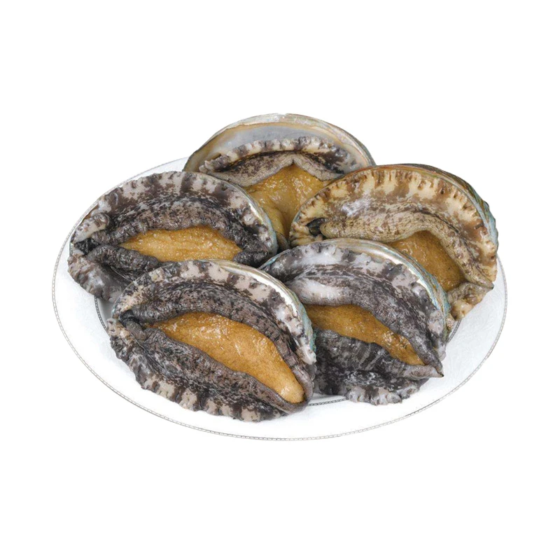 鲜活小鲍鱼5只/组(单只25-27g)