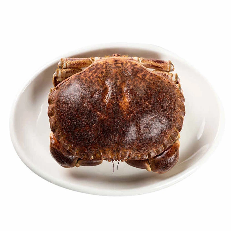 鲜活面包蟹400-600g/只