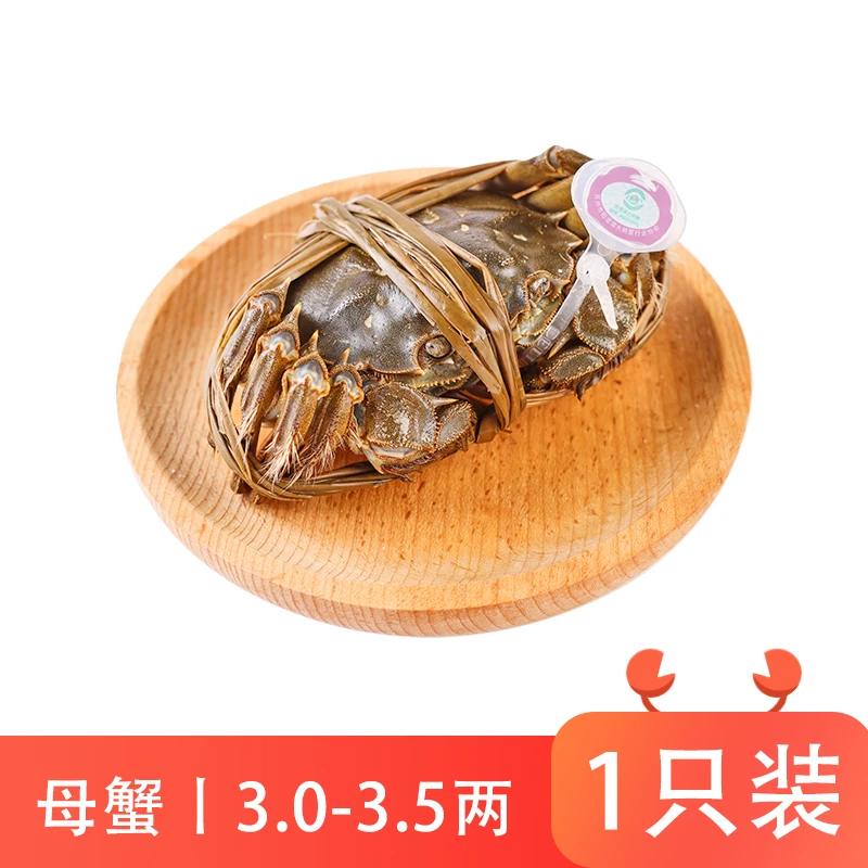 阳澄湖 大闸蟹(母150-175g)/只