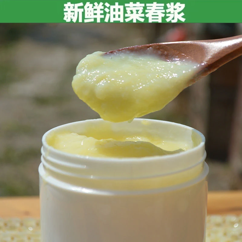 青海油菜蜂王浆500g,油菜春浆新鲜现取王浆 养蜂场自产