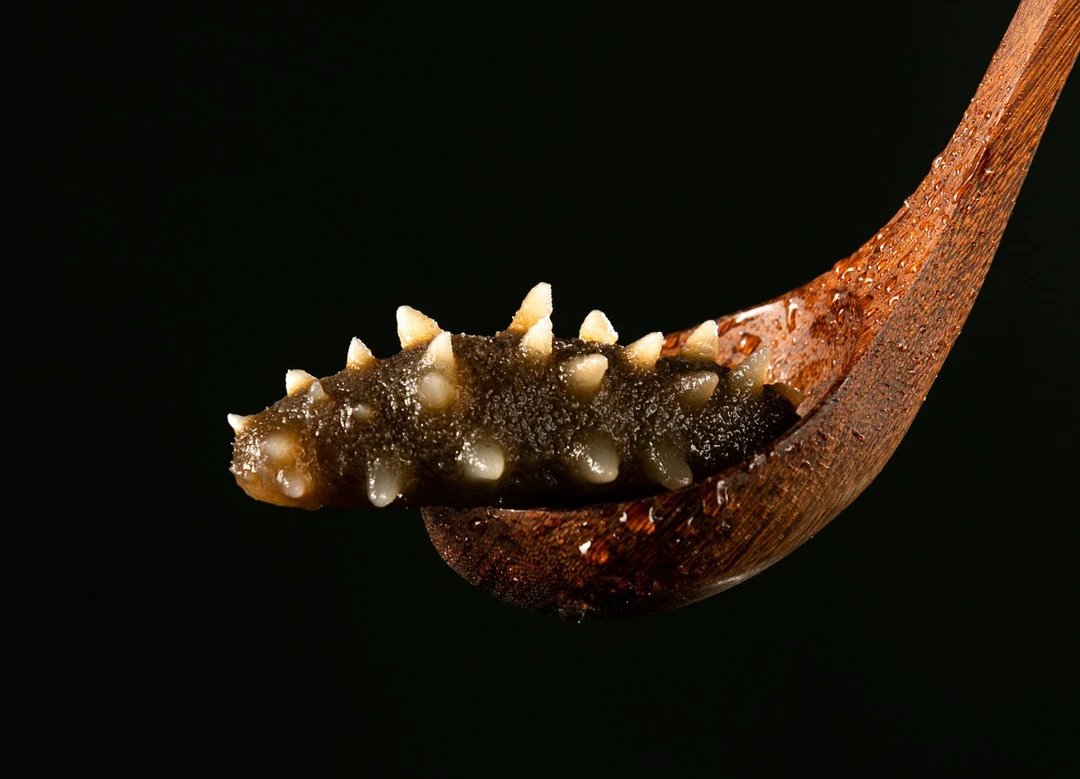 清即食海参王5-10头（1斤）独立包装