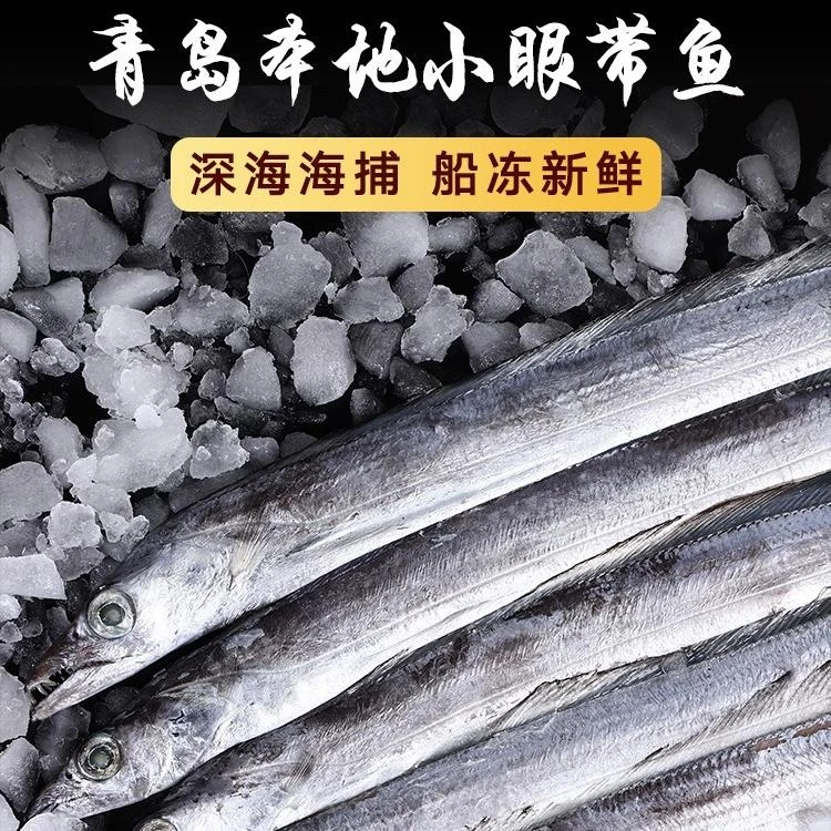 琴岛渔鲜福青岛小眼深海油带鱼5斤18条左右每条2/3两（个别破肚）