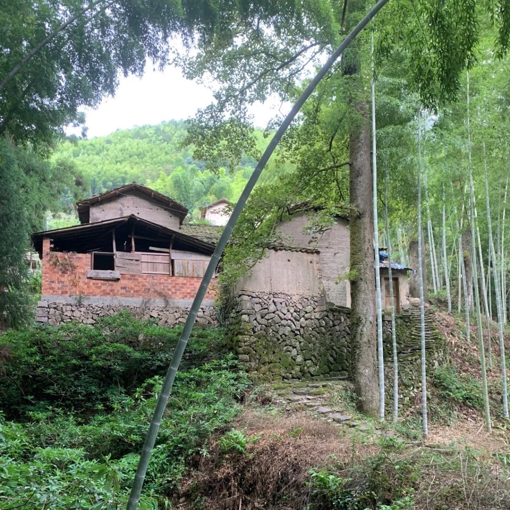 食用农产品 直播间下单备注 土货礼包 醋姜 黑豆 菇等