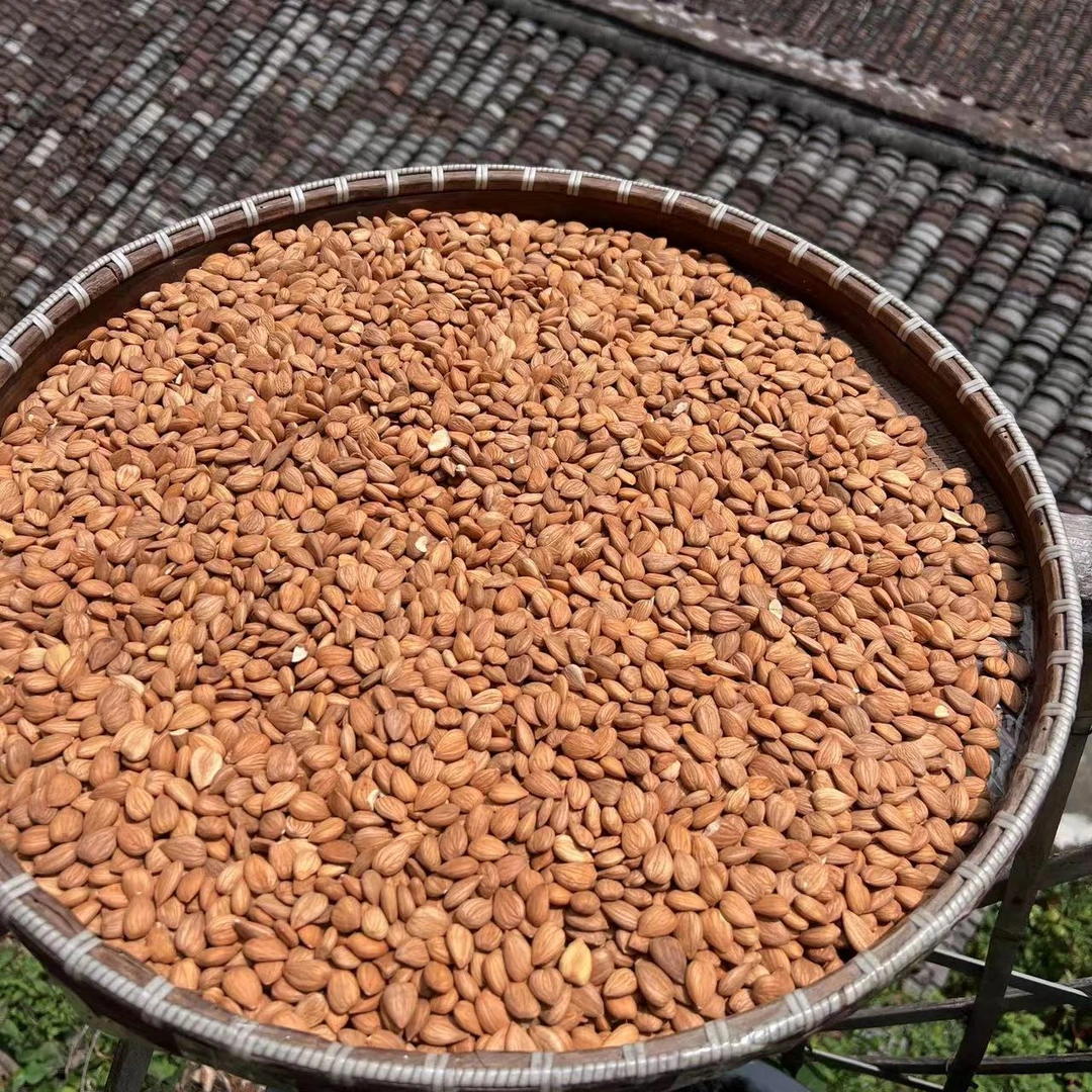 高山 农家 甜杏仁1