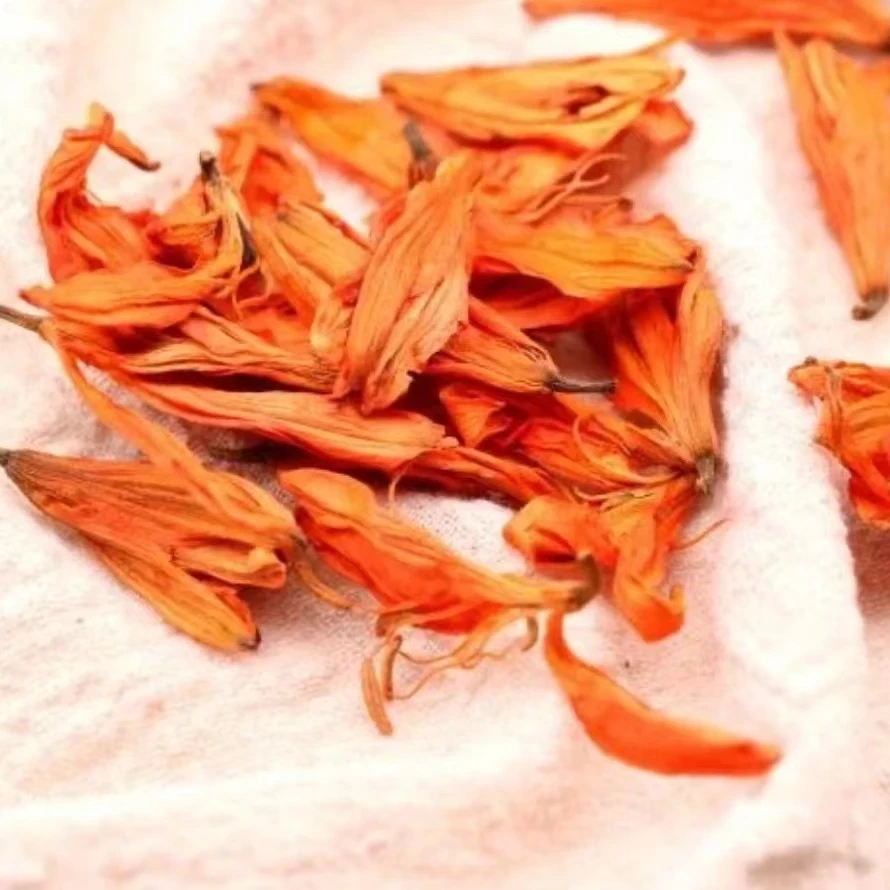 农家 高山 百合花