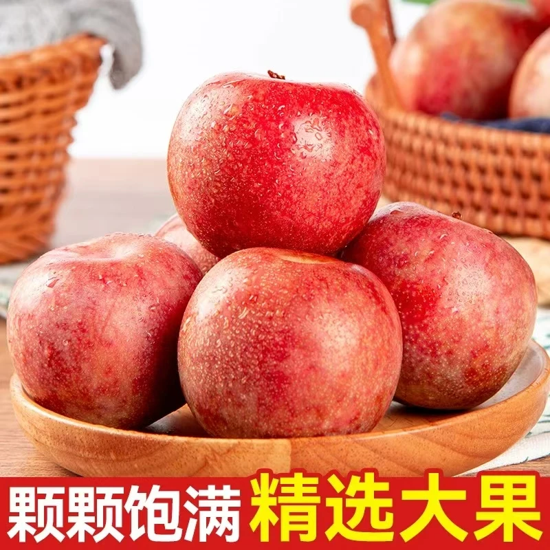 新疆新鲜水果恐龙蛋红布林李子