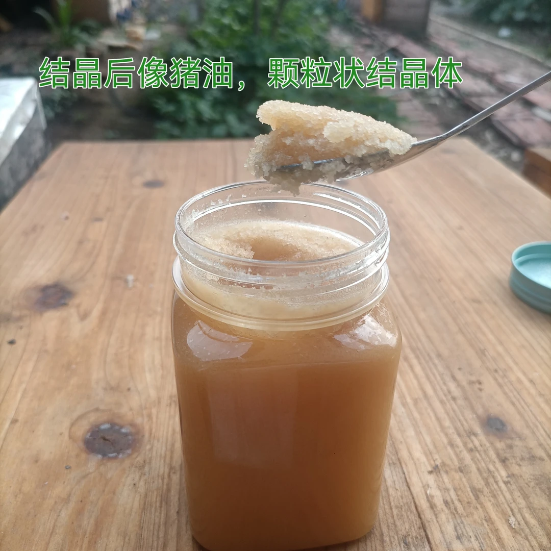 荆条蜜500g装花香佳品