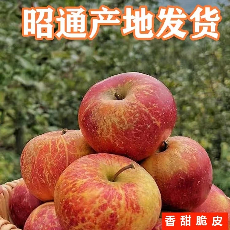 昭通冰糖甜心丑苹果新鲜应季水果脆甜多汁营养丰富5/9/10斤包邮