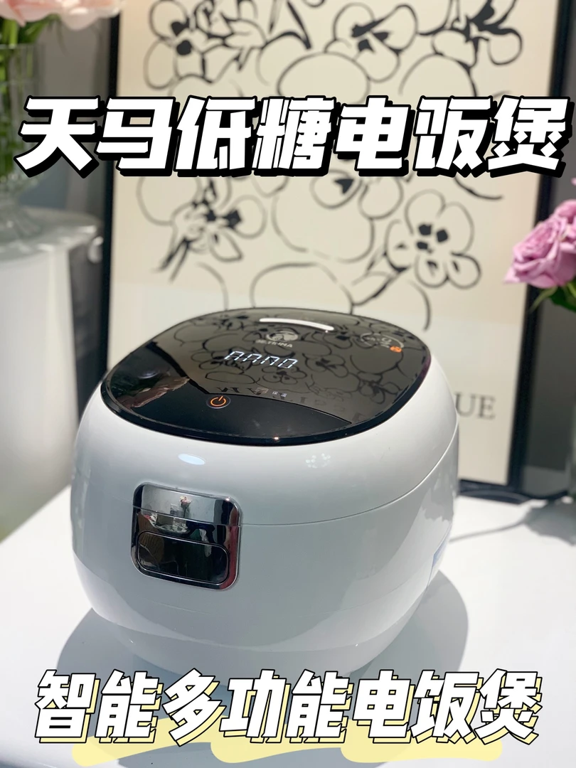 德国天马DE.TINMA低糖电饭煲 家用3L不锈钢内胆无涂层智能电饭煲