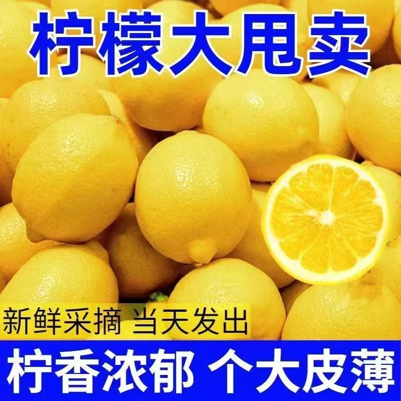 【进取】【鲜果】安岳黄柠檬新鲜柠檬鲜果薄皮柠檬10斤批发奶茶店整箱